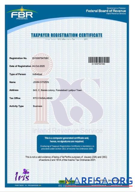 Printable Pakistan taxpayer registration certificate Word and PDF template